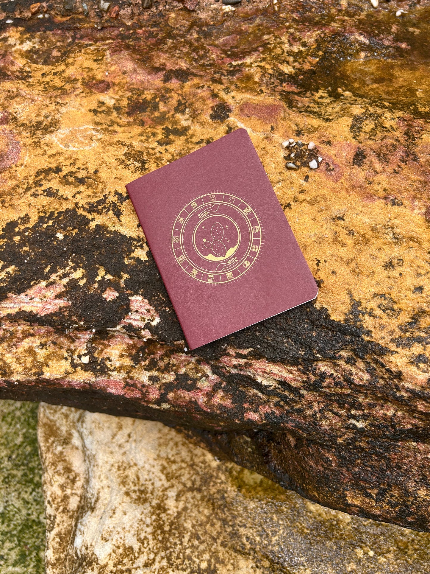 Pasaporte