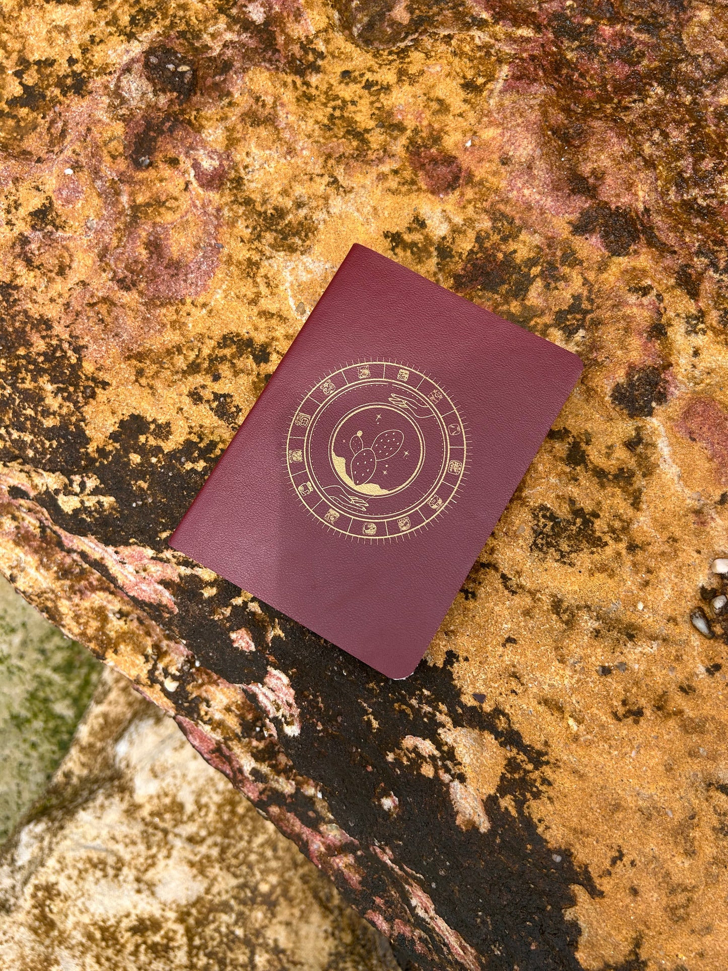 Pasaporte