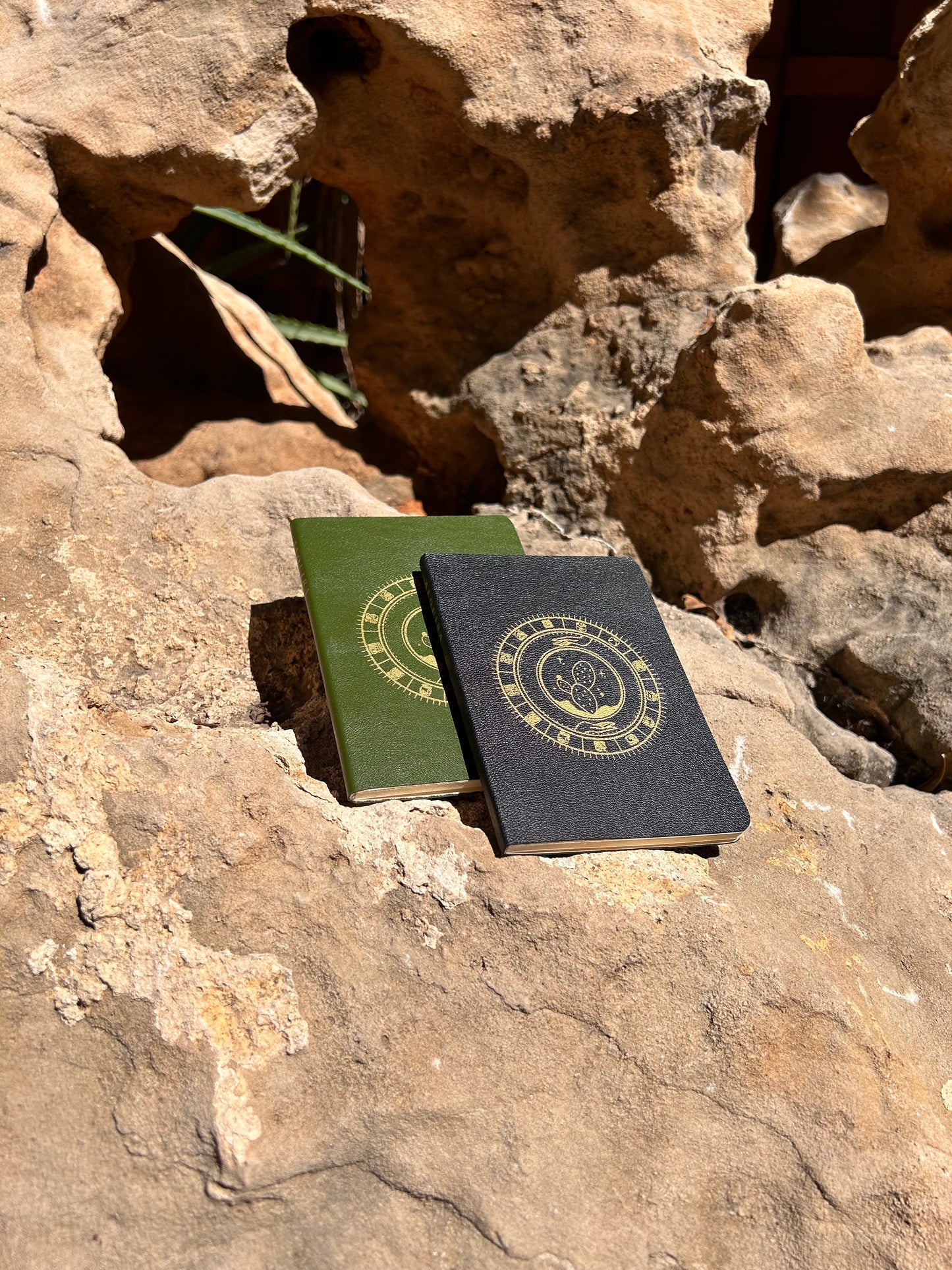 Pasaporte