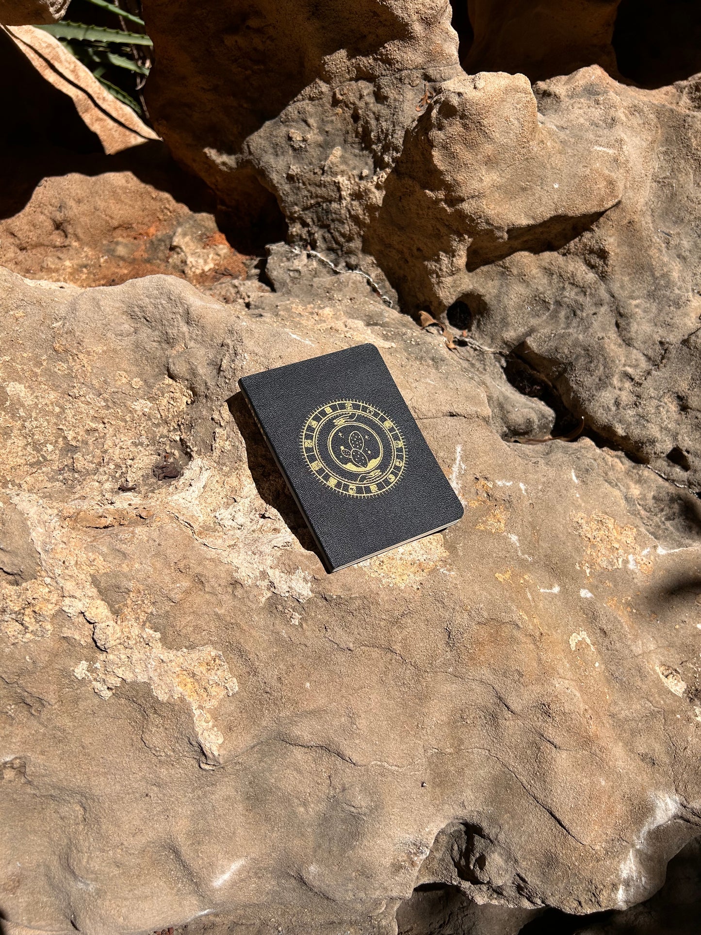 Pasaporte