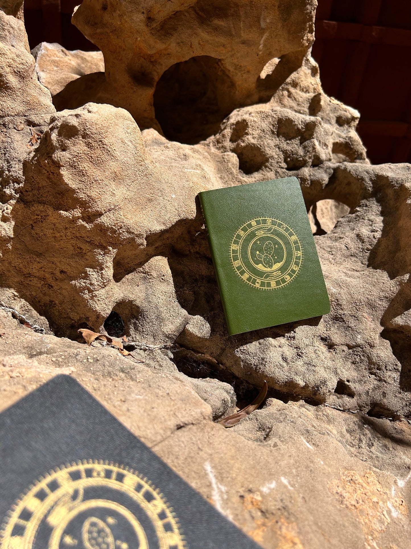 Pasaporte