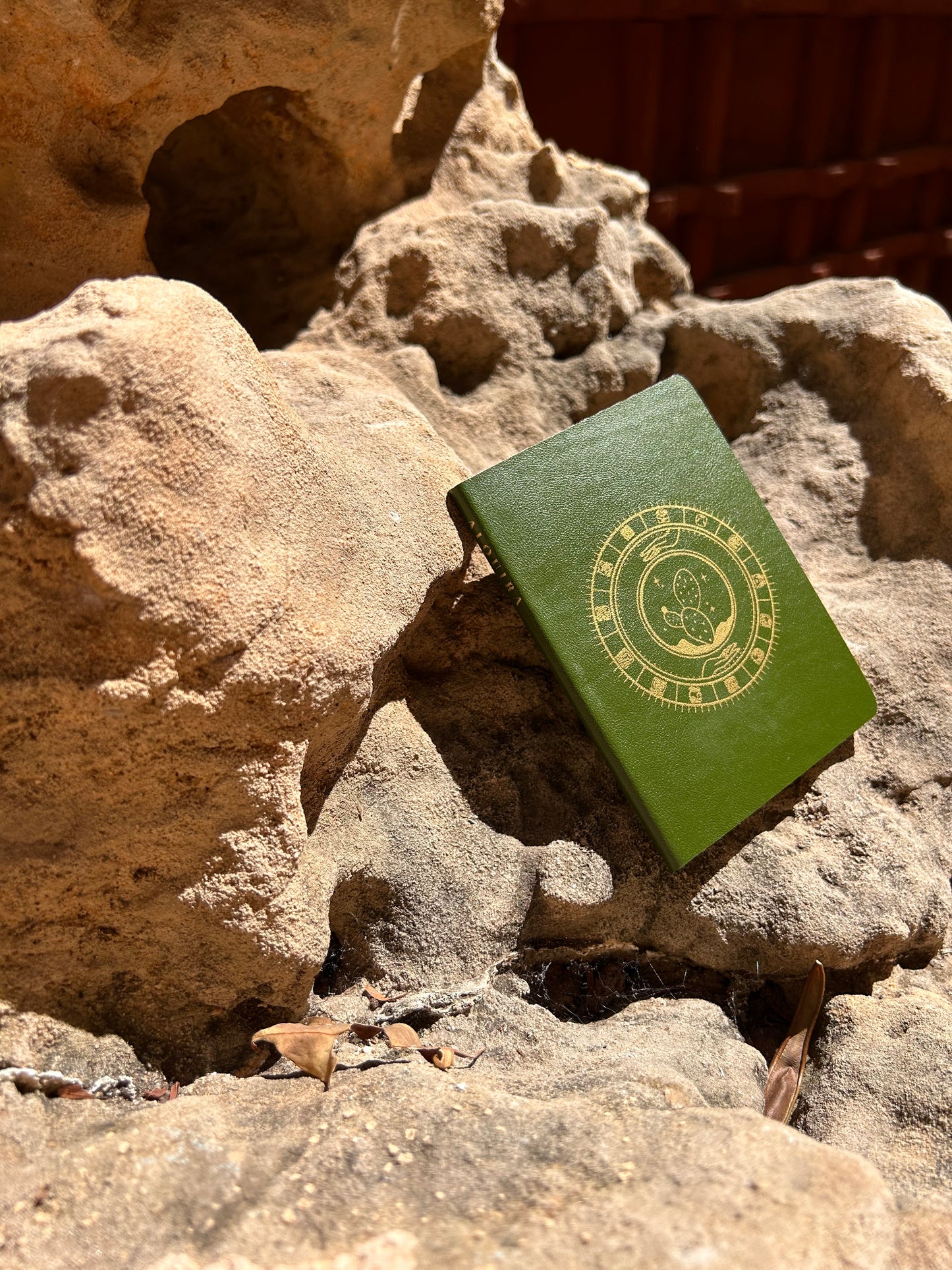 Pasaporte