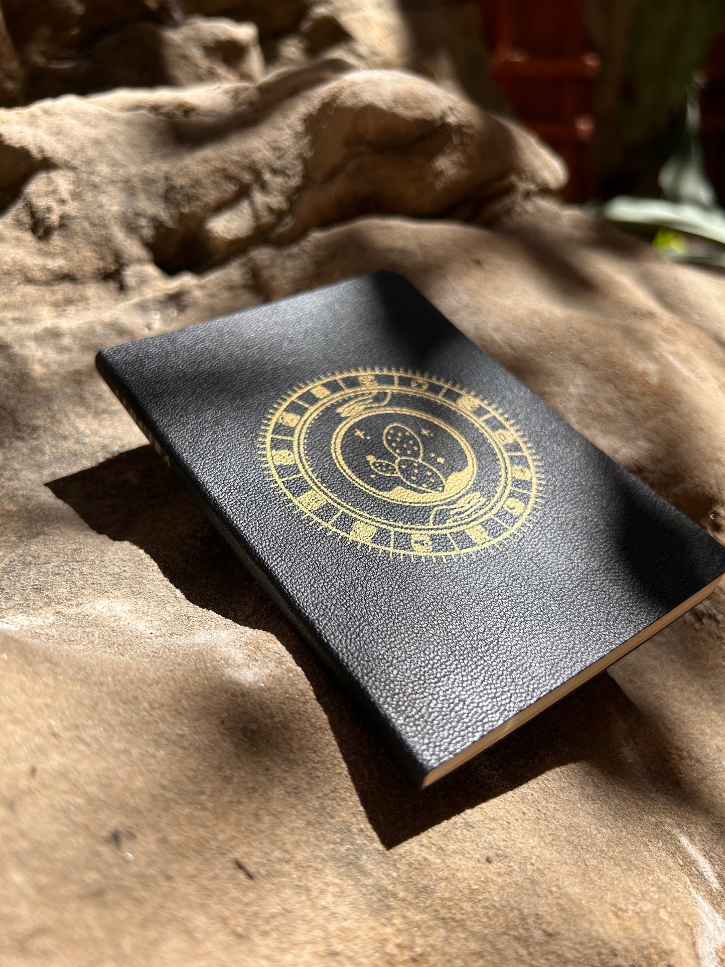 Pasaporte