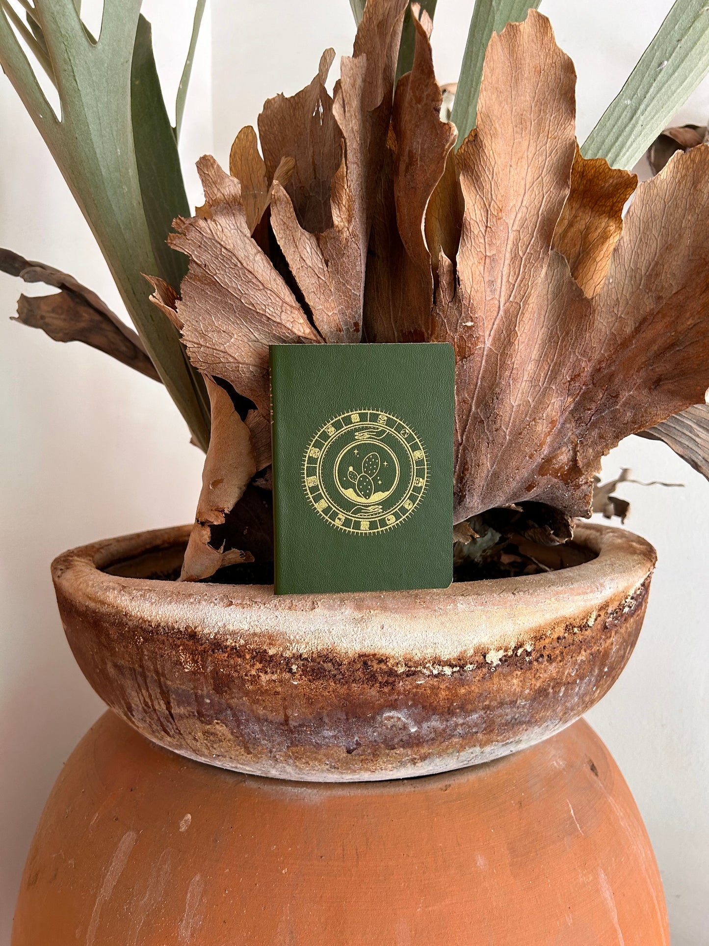 LIBRETA PASAPORTE