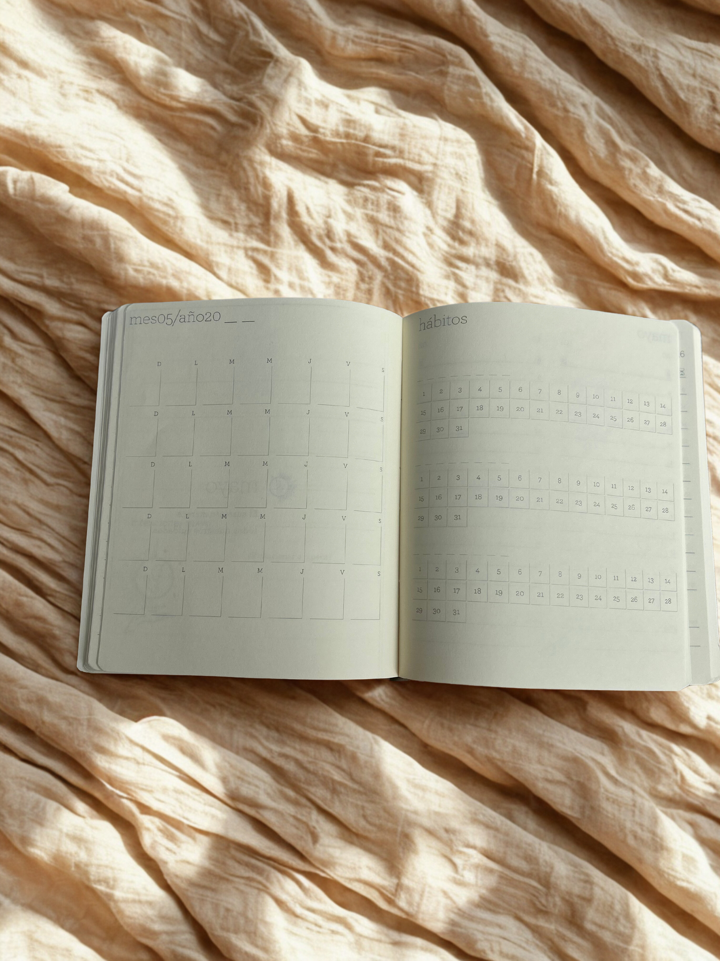 Agenda