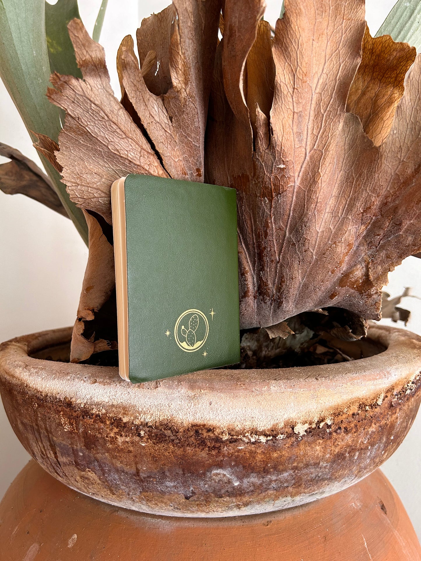 LIBRETA PASAPORTE